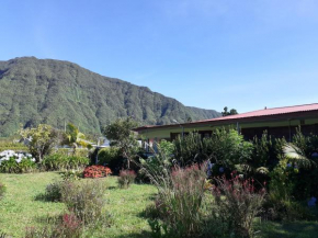 Le Clos des Mimosas